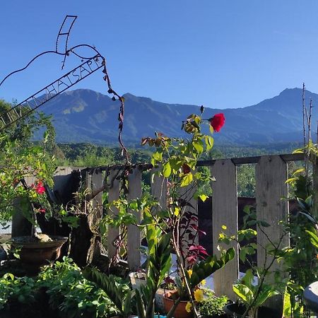 Tetebatu Terrace Homestay Екстериор снимка